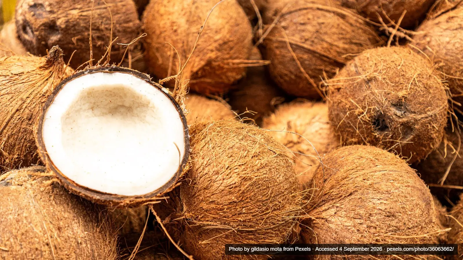 8 Unusual Things You Didn’t Know Could Be Insured