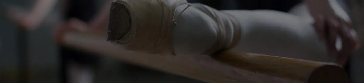 fsb-insurance-service-ballet-banner-9a2eeaf1819a8a7cad21d39a048354c363