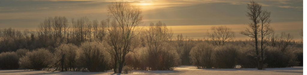 blog-title-image-1-3